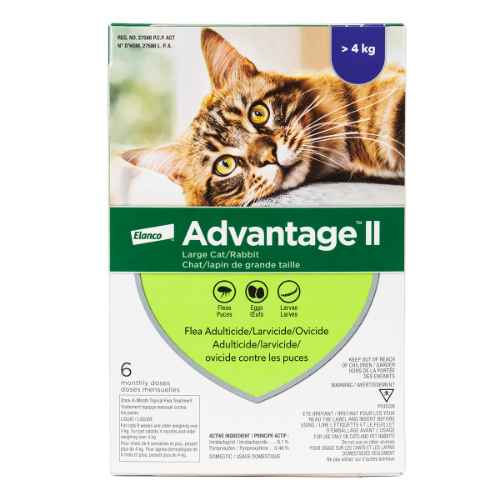 Picture of ADVANTAGE II FELINE LARGE CAT OVER 4kg - 6's (su12)