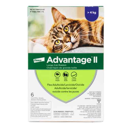 Picture of ADVANTAGE II PURPLE 6 x 0.8ml CATS OVER 4KG (su12)