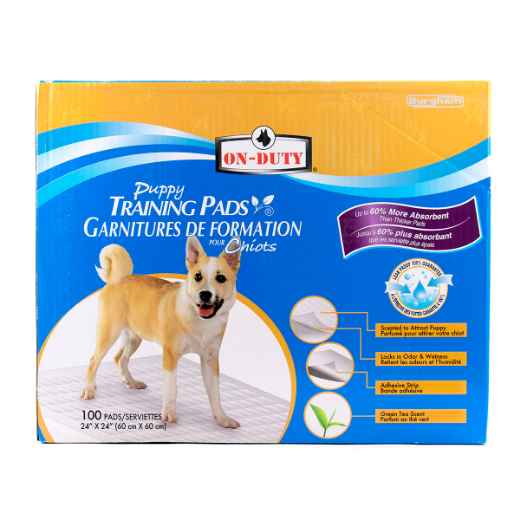 Picture of TRAINING PADS ON DUTY PUPPY PADS 24in x 24in - 100/box