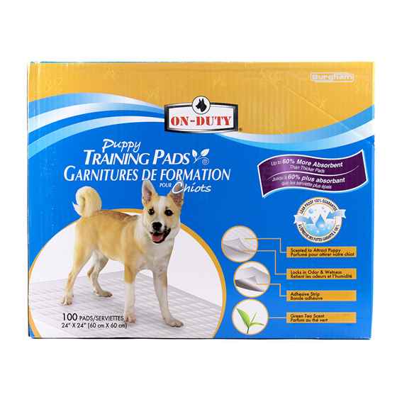 Picture of TRAINING PADS ON DUTY PUPPY PADS 24in x 24in - 100/box