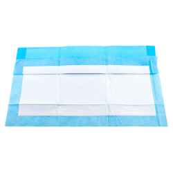 Picture of TRAINING PADS Simply Essential 22in x 22in - 100/box
