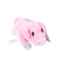 Show details for TOY DOG LIL PALS SOFT PLUSH Pig - 4.5in Picture of TOY DOG LIL PALS SOFT PLUSH Pig - 4.5in