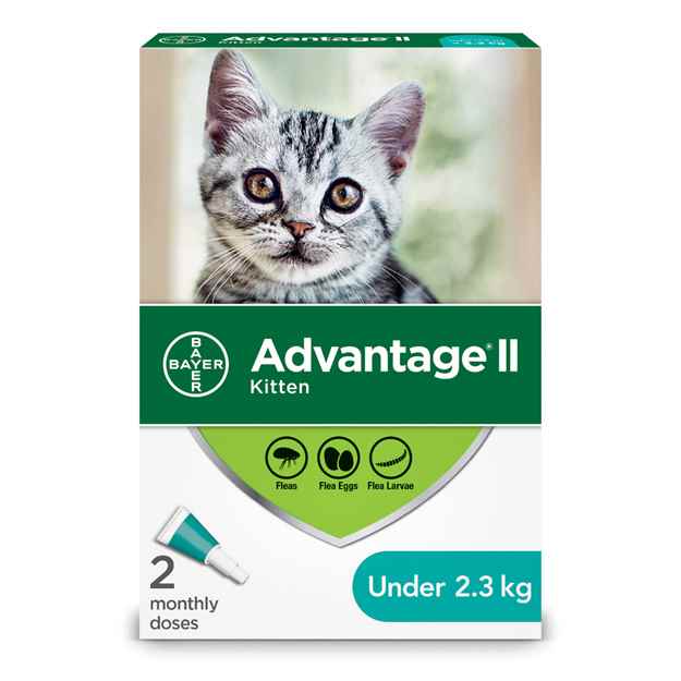 Picture of ADVANTAGE II FELINE KITTEN (UNDER 2.3kg) 2 monthly doses(su24)