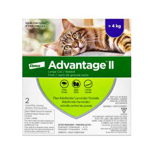 Picture of ADVANTAGE II FELINE LARGE CAT OVER 4kg - 2's (su24)