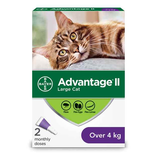 Picture of ADVANTAGE II FELINE LARGE CAT (over 4kg) 2 monthly doses(su24)