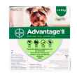 Picture of ADVANTAGE II CANINE SMALL DOG (under 4.5kg) 2 monthly doses (su24)