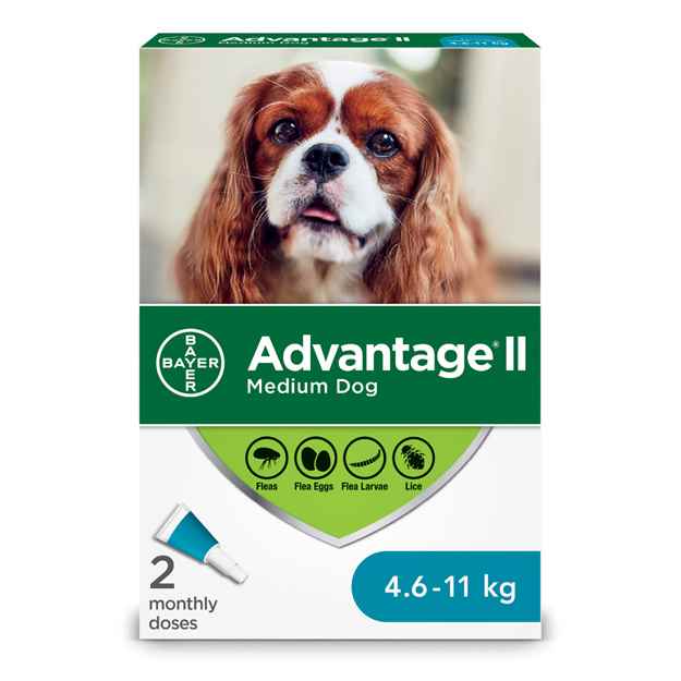 Picture of ADVANTAGE II CANINE MEDIUM DOG (4.6-11kg) 2 monthly doses(su24)