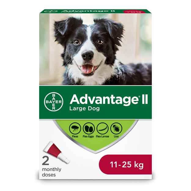 Picture of ADVANTAGE II CANINE LARGE DOG (11-25kg) 2 monthly doses(su24)