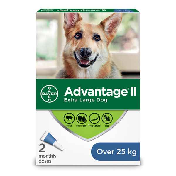 Picture of ADVANTAGE II CANINE X-LARGE DOG (over 25kg) 2 monthly doses (su24)