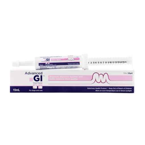 Picture of ADVANCED GI ORAL PASTE - 15ml