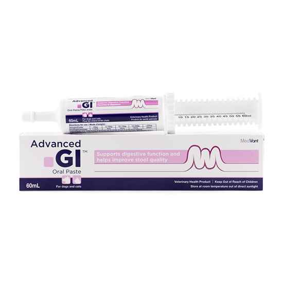 Picture of ADVANCED GI ORAL PASTE - 60ml