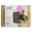 Show details for CATIT SENSES 2.0 SELF GROOMER Picture of CATIT SENSES 2.0 SELF GROOMER