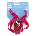 Picture of HARNESS RC TEMPO NO PULL Small - Heather Azalea