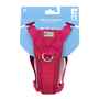 Picture of HARNESS CANINE RC TEMPO NO PULL Medium - Heather Azalea