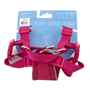 Picture of HARNESS RC TEMPO NO PULL Medium - Heather Azalea