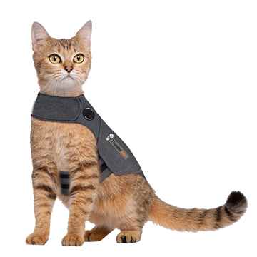 Picture of CLOTHING FELINE THUNDERSHIRT(chest 17-24in  13lbs+)Grey - Large