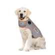Picture of CLOTHING K/9 Thundershirt Sport (chest 30-37in weight 65-110lbs)Platinum - X Large