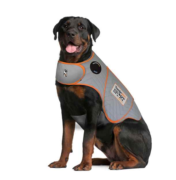 Picture of CLOTHING K/9 Thundershirt Sport (chest 37-50in weight 110lbs+)Platinum - XX Large