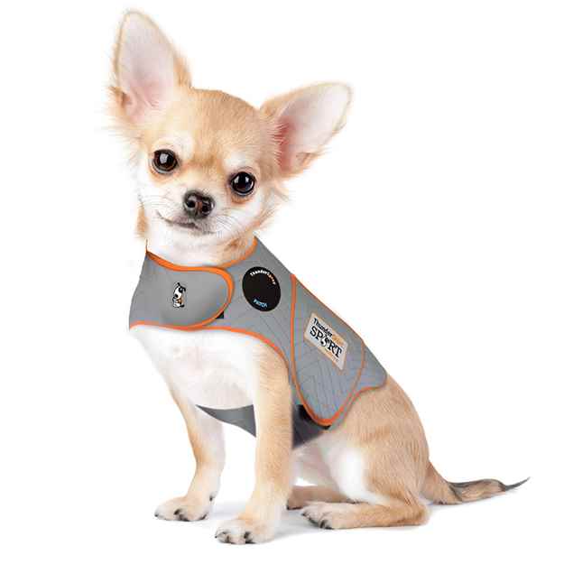 Picture of CLOTHING K/9 Thundershirt Sport (chest 9-13in weight under 7lbs) Platinum - XX Small