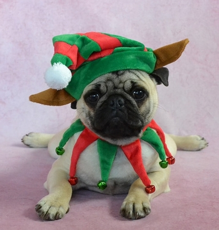 Picture for category Seasonal