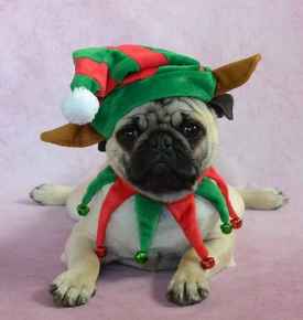 Picture for category Seasonal