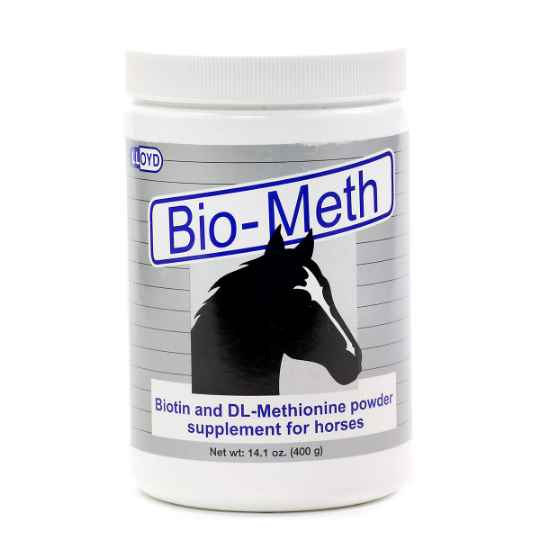 Picture of BIO-METH POWDER - 400gm