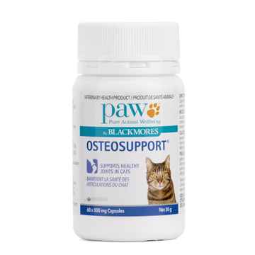 Picture of OSTEOSUPPORT CAPS for CATS - 60`s