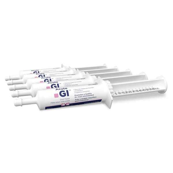 Picture of ACUTE GI ORAL PASTE - 5 x 60cc