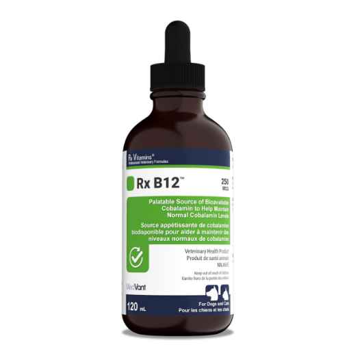 Picture of RX VITAMINS RX B12 LIQUID 250mcg/ml - 4oz (120ml)