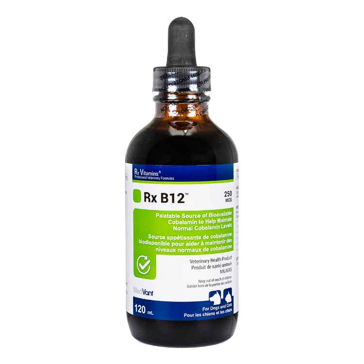 Picture of RX VITAMINS RX B12 LIQUID 250mcg/ml - 4oz (120ml)