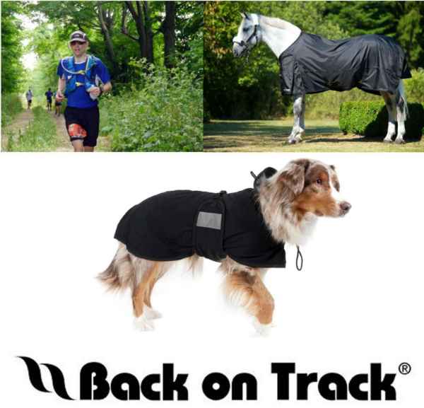 Show products in category Back on Track - Therapeutic FINAL SALE Picture for category Back on Track - Therapeutic FINAL SALE
