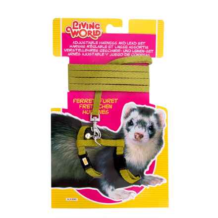 Picture of HARNESS & LEAD SET FERRET Living World Green (60862) - 1.2m/4ft