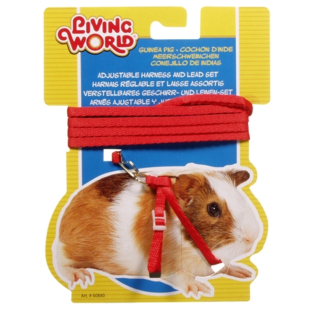 Picture of GUINEA PIG HARNESS & LEAD SET Living World (60840) - Red