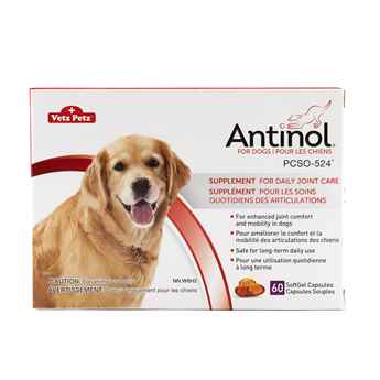 Picture of ANTINOL for DOGS - 60s