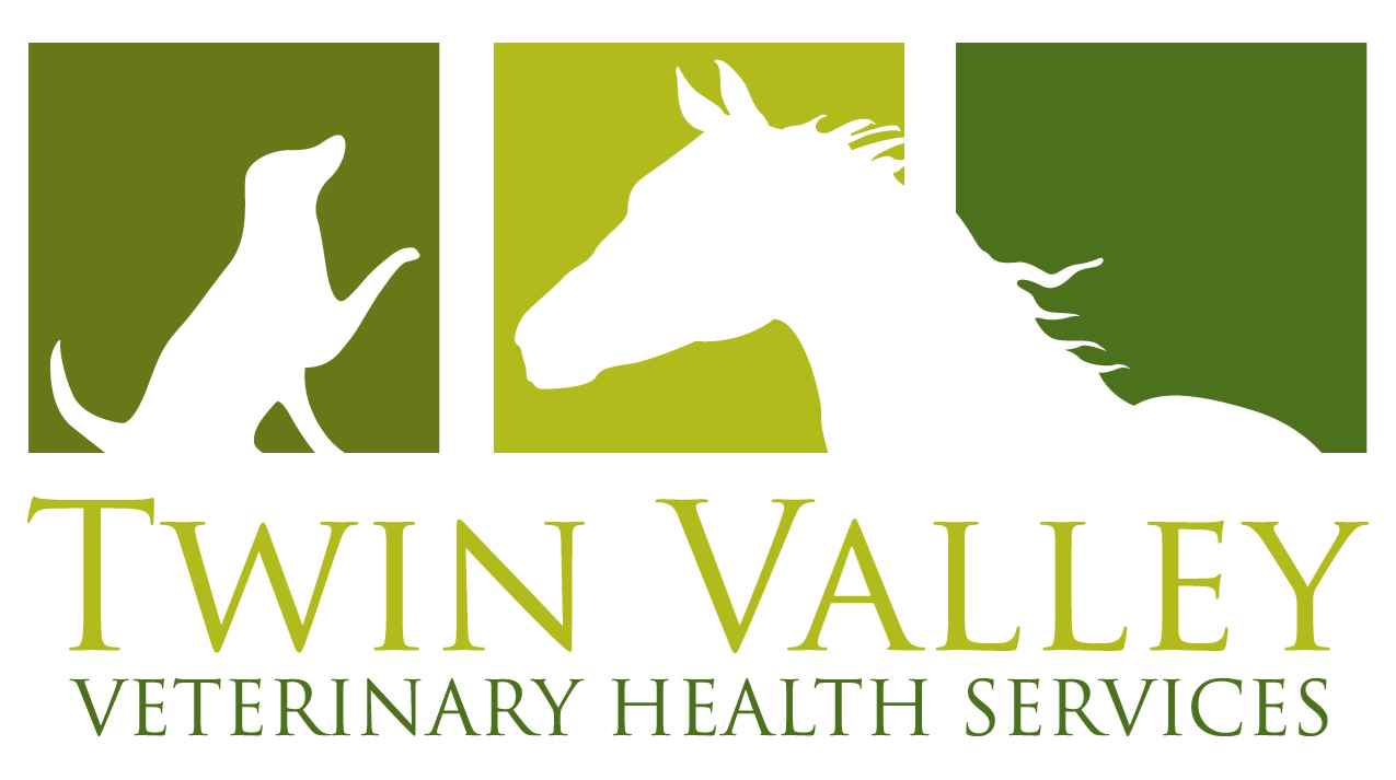 Twin Valley Veterinary Health Services