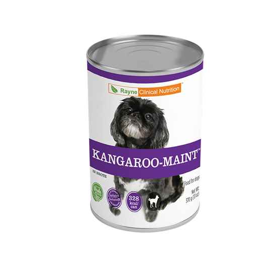 rayne kangaroo cat food