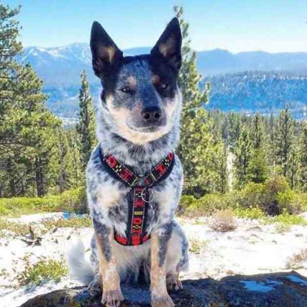 Show products in category Apparel and Outdoor Gear Picture for category Apparel and Outdoor Gear