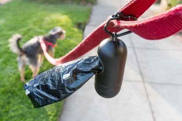 Show products in category Training and Clean Up Needs Picture for category Training and Clean Up Needs