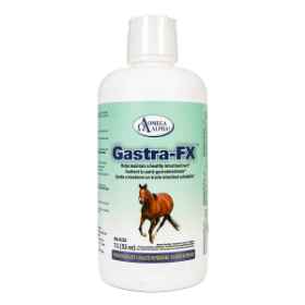 Show details for OMEGA ALPHA GASTRA-FX - 1lt Picture of OMEGA ALPHA GASTRA-FX - 1lt