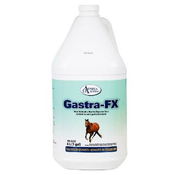 Show details for OMEGA ALPHA GASTRA-FX - 4lt Picture of OMEGA ALPHA GASTRA-FX - 4lt