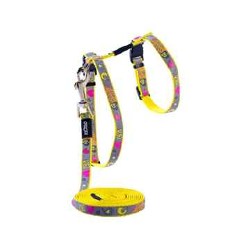 Picture of LEAD AND HARNESS COMBO ROGZ REFLECTOCAT X Small Cat - Dayglo Bird(d)