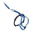 Picture of LEAD AND HARNESS COMBO PETSAFE Small Cat- Royal Blue