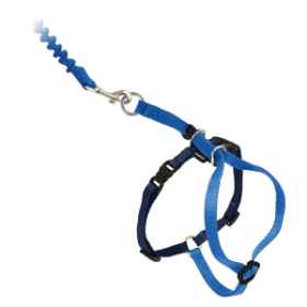Show details for LEAD AND HARNESS COMBO FELINE PETSAFE Small Cat - Royal Blue Picture of LEAD AND HARNESS COMBO FELINE PETSAFE Small Cat - Royal Blue