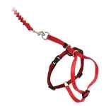 Picture of LEAD AND HARNESS COMBO FELINE PETSAFE Small Cat - Red