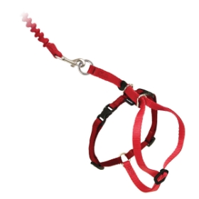 Show details for LEAD AND HARNESS COMBO FELINE PETSAFE Small Cat - Red Picture of LEAD AND HARNESS COMBO FELINE PETSAFE Small Cat - Red