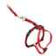 Show details for LEAD AND HARNESS COMBO FELINE PETSAFE Small Cat - Red Picture of LEAD AND HARNESS COMBO FELINE PETSAFE Small Cat - Red