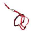Picture of LEAD AND HARNESS COMBO PETSAFE Medium Cat- Red
