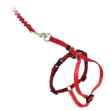 Picture of LEAD AND HARNESS COMBO FELINE PETSAFE Medium Cat - Red