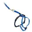 Picture of LEAD AND HARNESS COMBO PETSAFE Medium Cat- Royal Blue