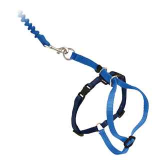 Picture of LEAD AND HARNESS COMBO PETSAFE Large Cat- Royal Blue